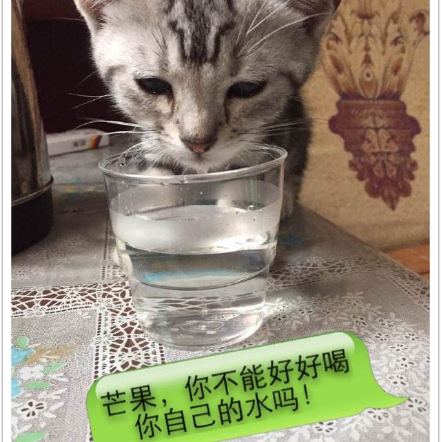 自考学士学位证书申请时间